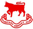 Clontarf Cricket Club